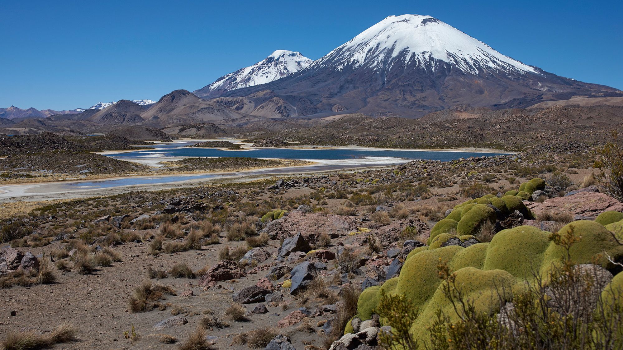 South American ‘Pompeii’: Volcanic eruption 22 million years ago preserved a snapshot of the Andes forming South American ‘Pompeii’: Volcanic eruption 22 million years ago preserved a snapshot of the Andes forming