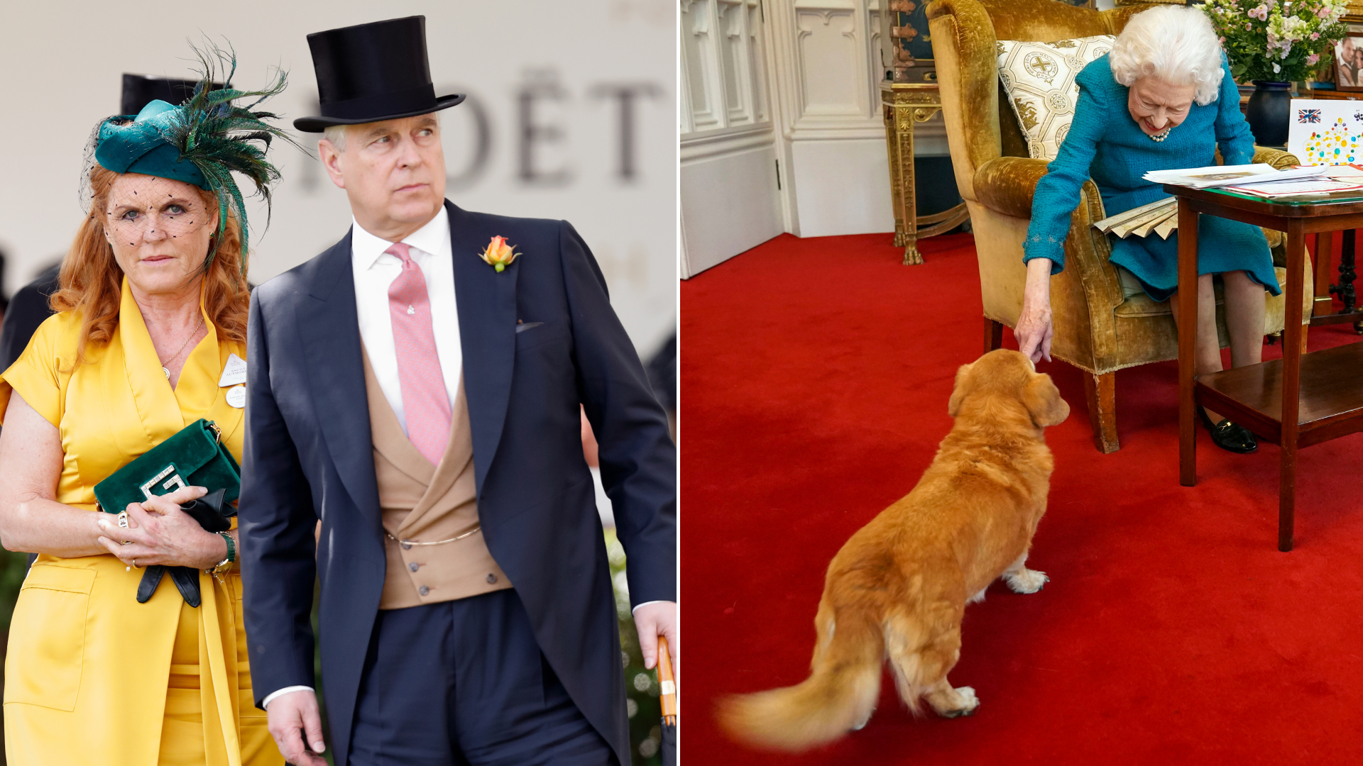 Sarah Ferguson wears a yellow dress with a green hat as she attends Royal Ascot with Prince Andrew, and the late Queen Elizabeth pets one of her corgis