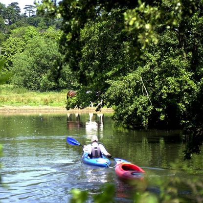 waverley in surrey has the best quality of life in rural britain