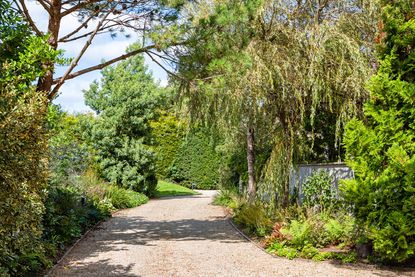 Inside Actress Saoirse Ronan's stylish Ireland home