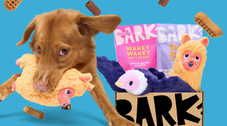 BarkBox promotional image