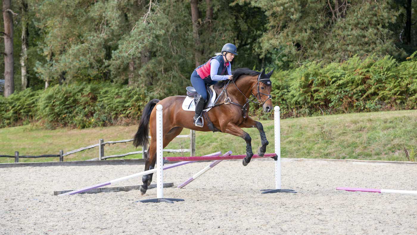 Gemma Stevens gridwork: bay horse jumping low fence