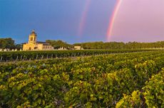 Bordeaux in bottle 2015