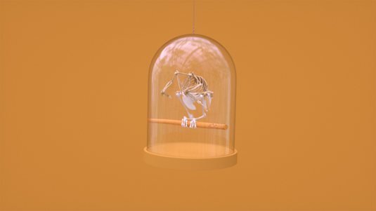 3D bird animation