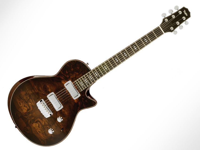 Taylor's SolidBody Custom