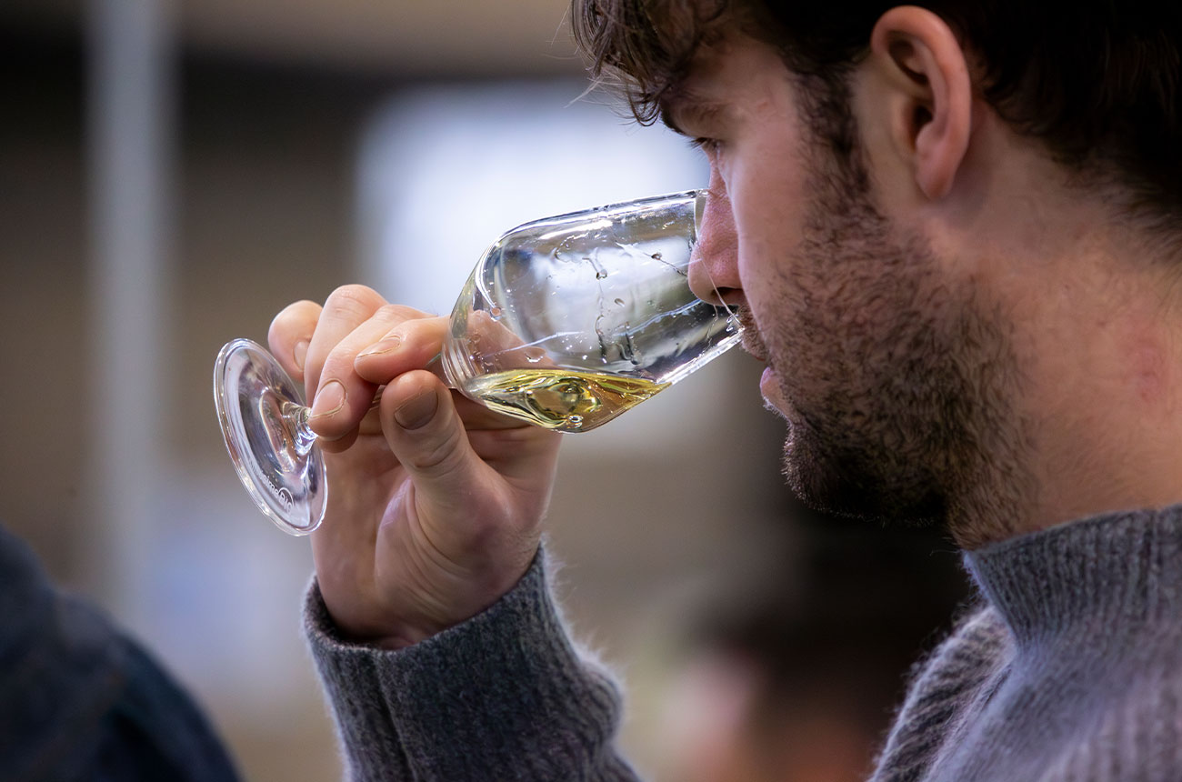 Mill&amp;eacute;sime BIO 2025 &amp;ndash; the world&amp;rsquo;s largest organic wine fair returns