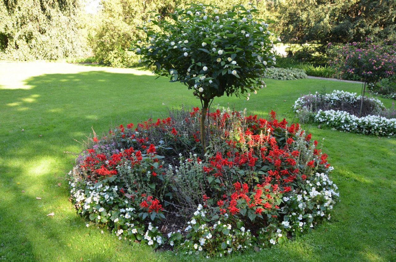 Flower Gardens Around Trees