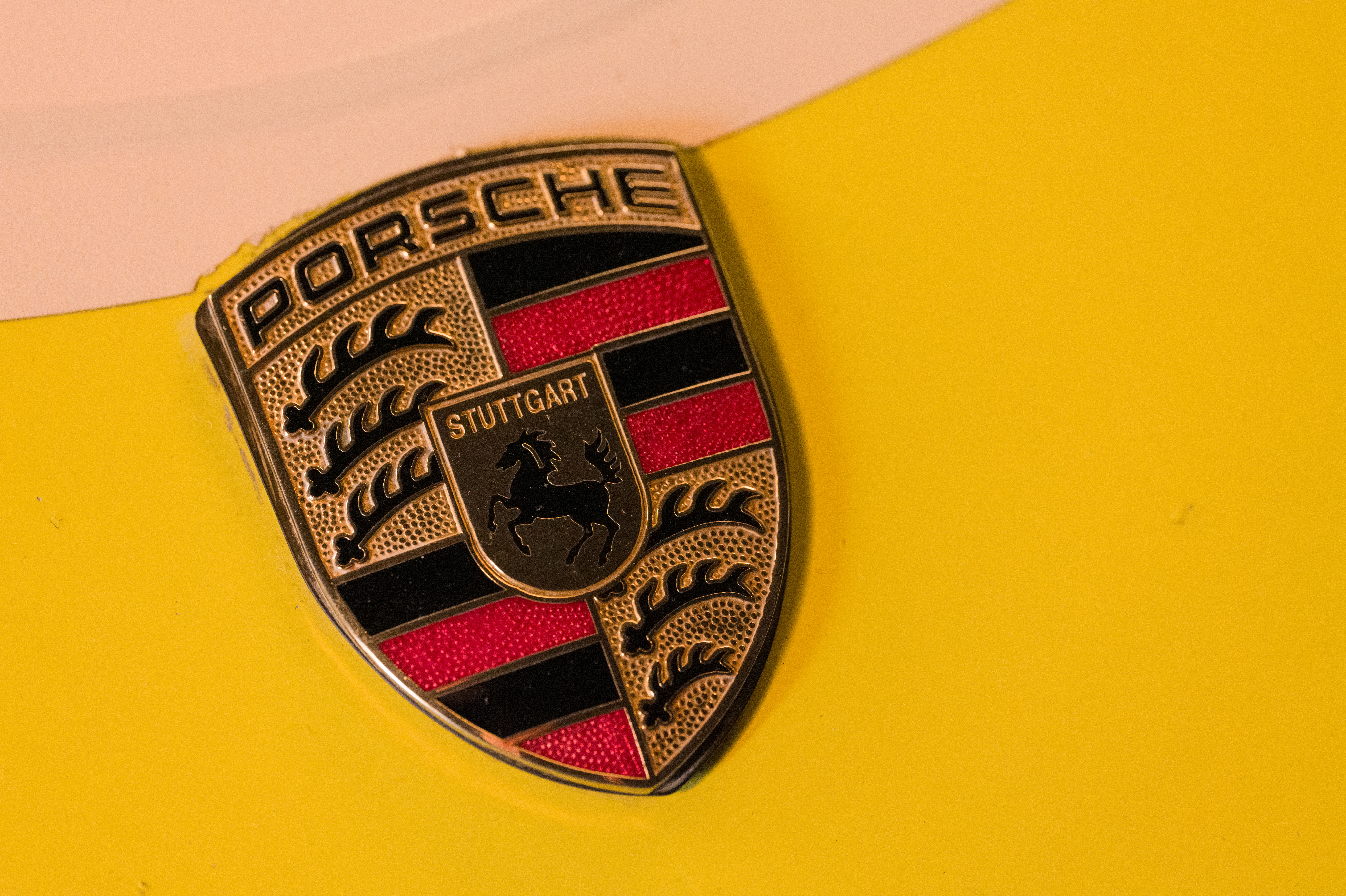 Leica APO-Macro-Elmarit-SL 100mm f/2.8 sample image