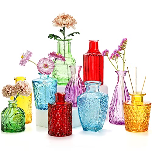 Coloch Set of 10 Colored Bud Vases, Assorted Small Glass Flower Vases Vintage Carved Floral Vase Single Bud Vase in Bulk for Centerpieces, Parties, Wedding Decoration, Office, Home