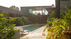 beautiful pool garden with wild plants
