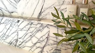 Marble backsplash and shelf with olive branches and hand soap dispensers