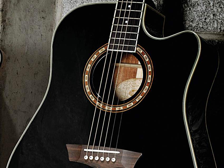 Washburn have produced a well-built guitar with great sound quality.