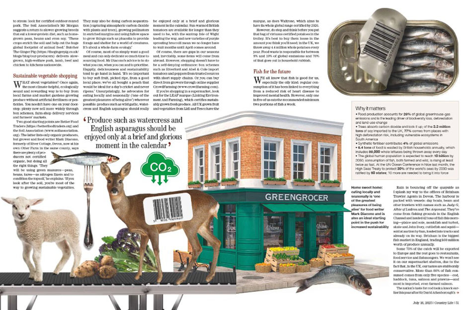 Spreads from Country Life 16 July 2025