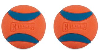 Chuckit! Ultraballs toy for pet lizards