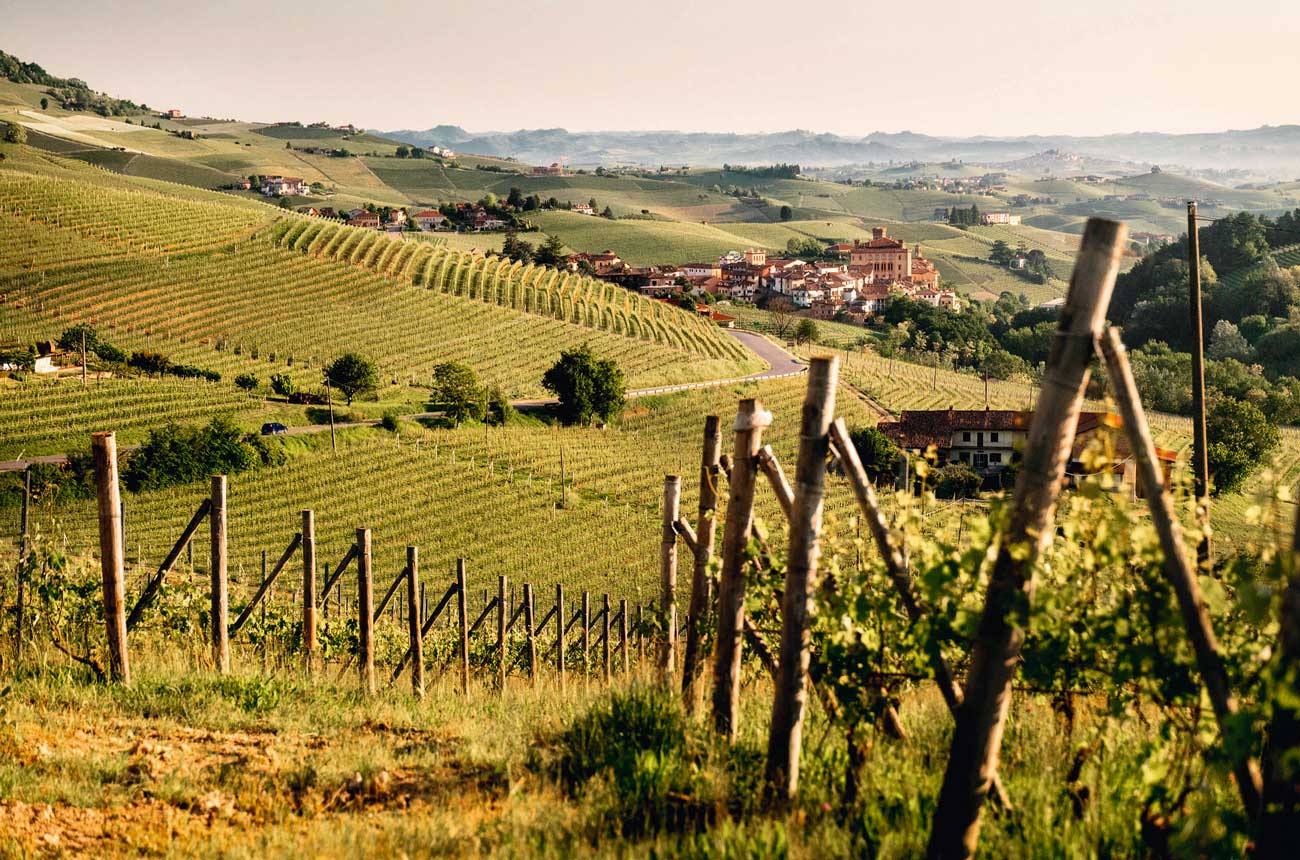 Barolo