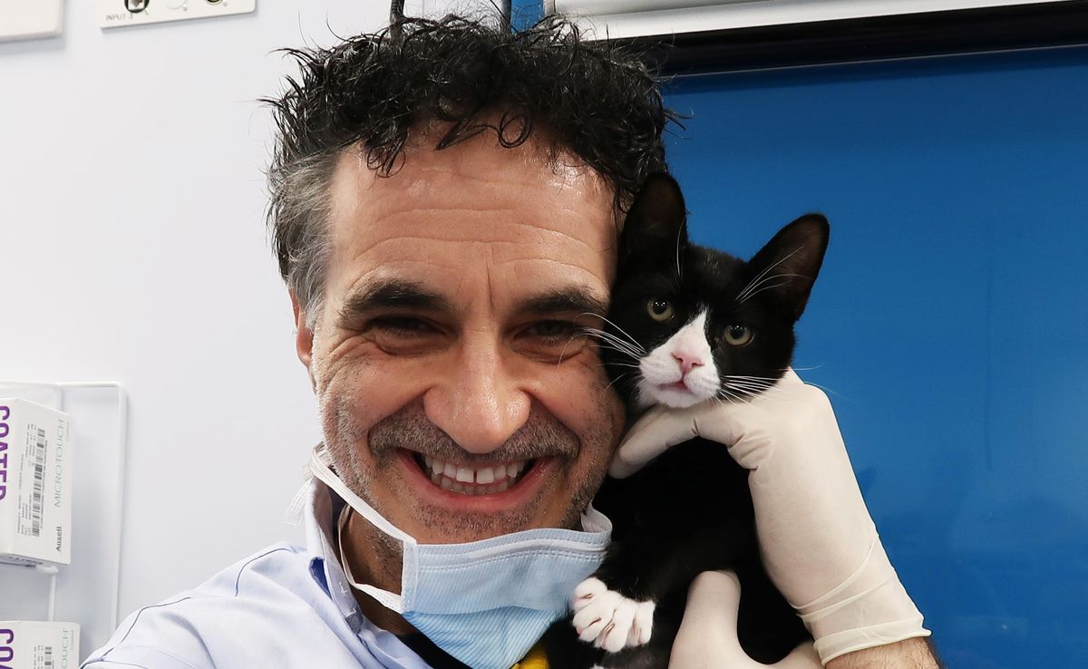 Supervet Noel Fitzpatrick with kitten patient Fury. 