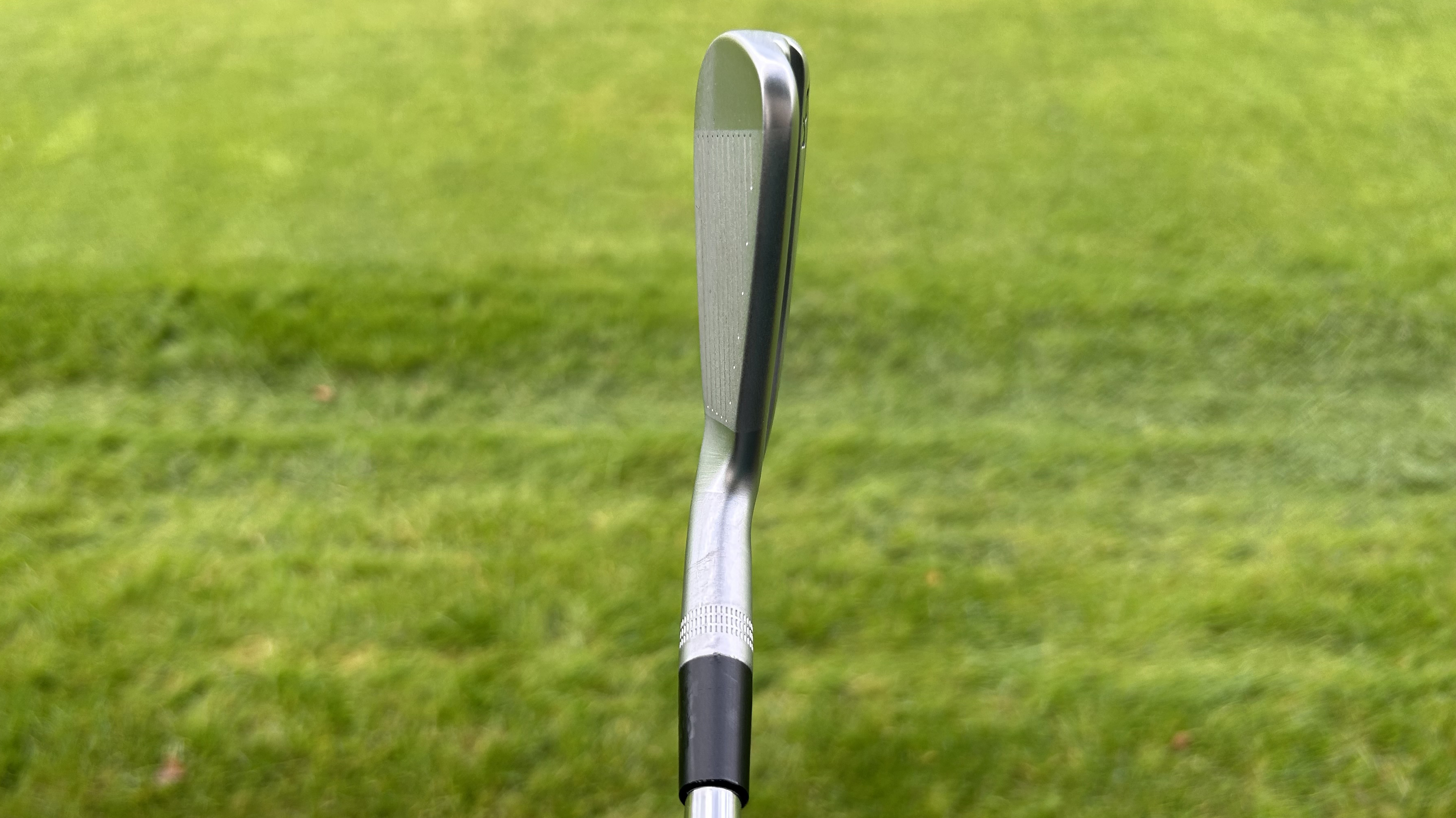 Photo of the Wilson Staff Model XB 2 Iron at address