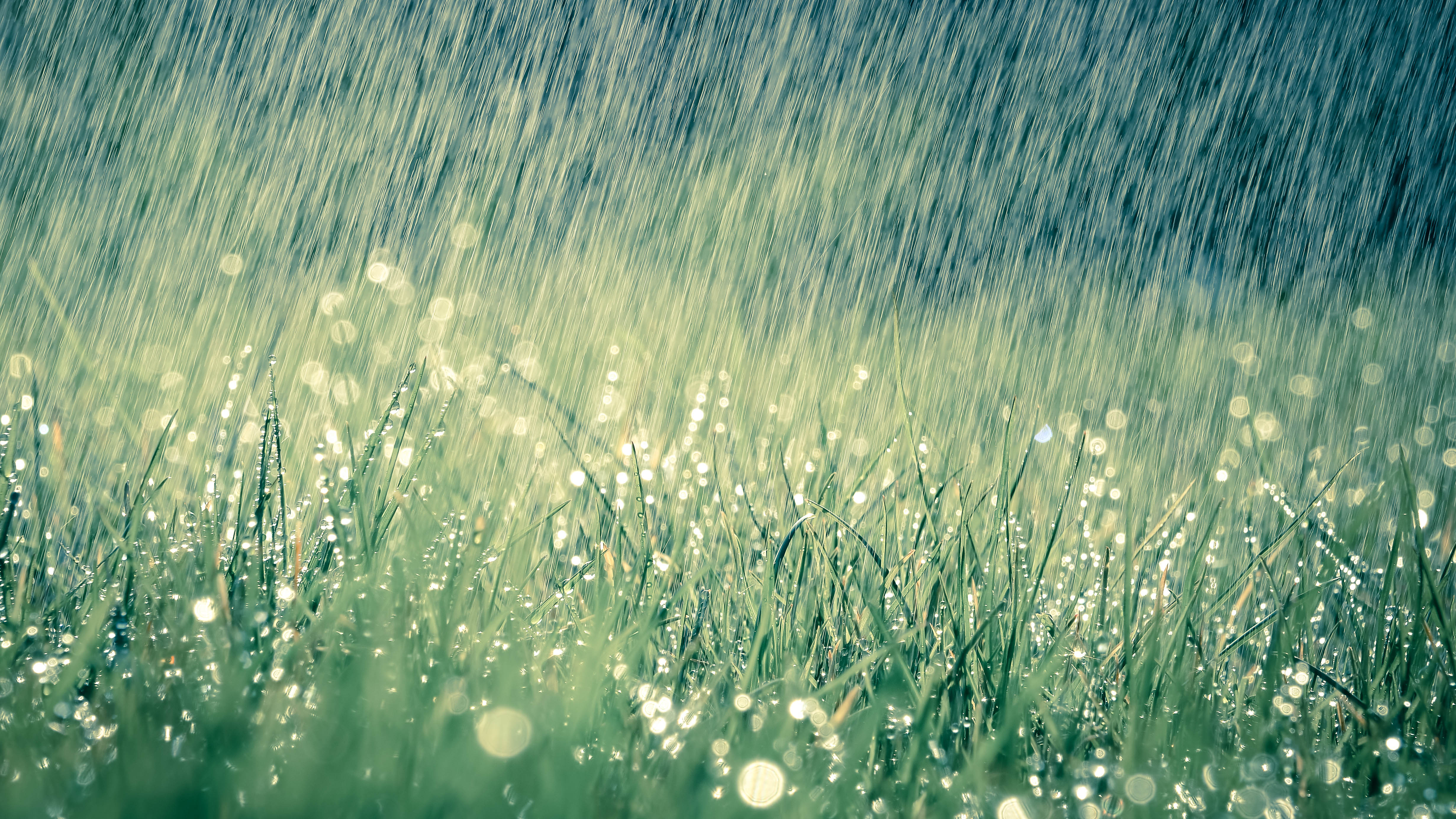 Сильный дождь на траве