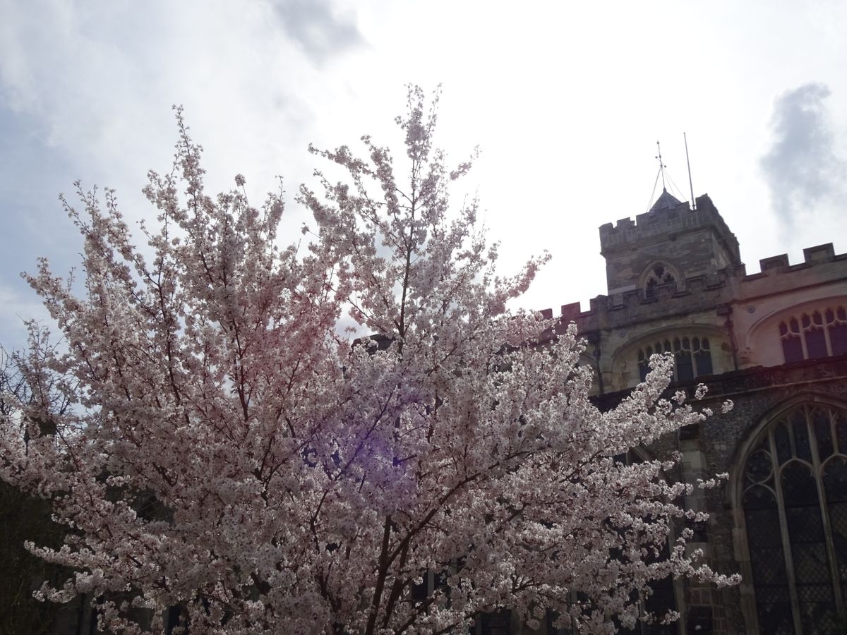 Sample images - Sony WX350 review - Page 3 | TechRadar