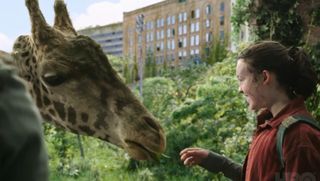 Ellie feeding a giraffe in The Last of Us on HBO