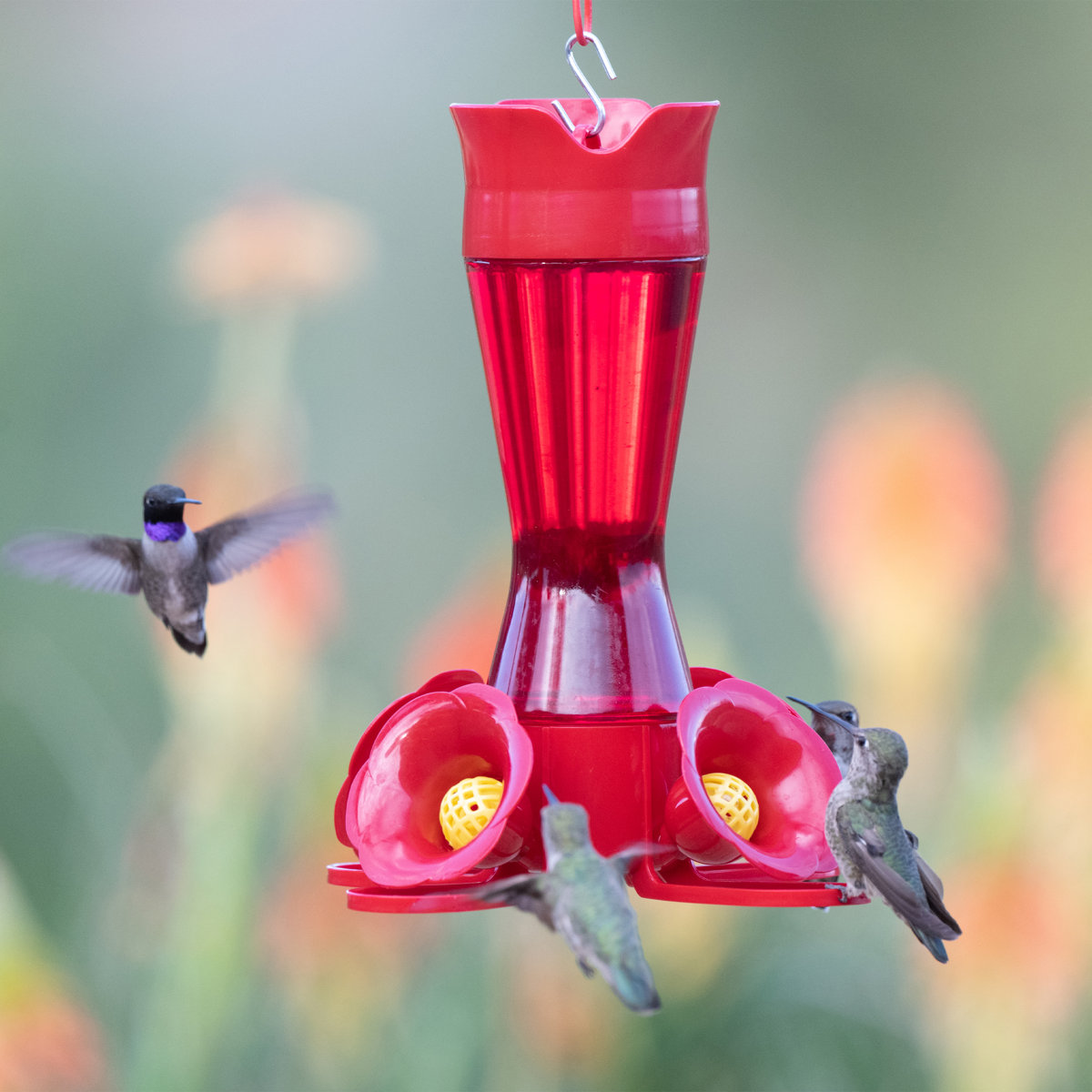Bay Isle Home&amp;trade; Elsass Plastic Pinch Waist Nectar Hummingbird Feeder &amp;amp; Reviews | Wayfair