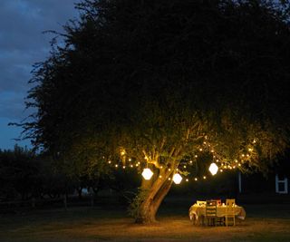 Lights over a garden table