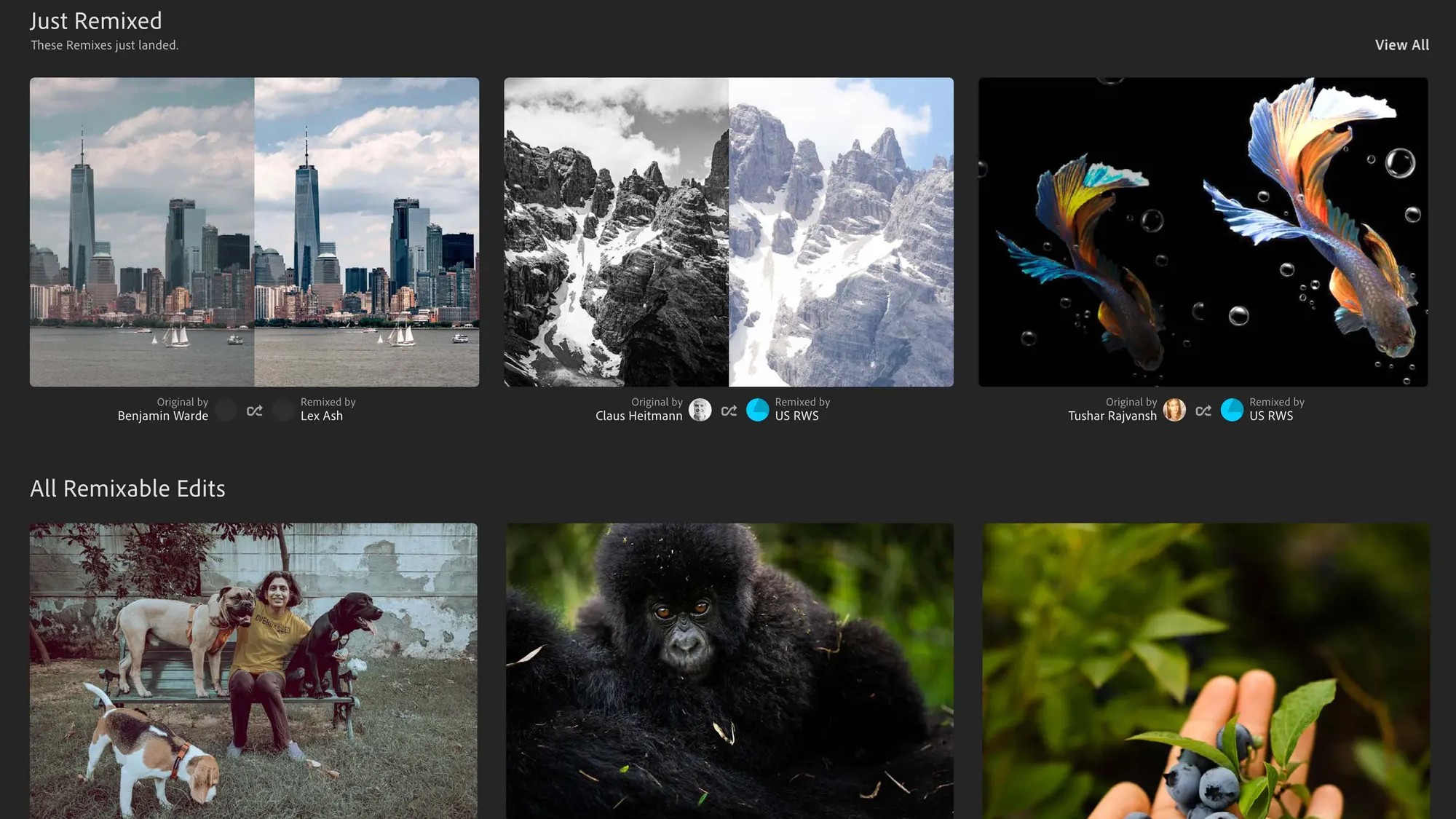 Selection of photos in Remix web page