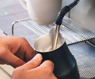 A jug of milk being textured using a steam wand