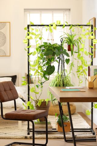bedroom with desk area and a plant rail as a room divider
