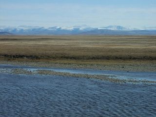 A modern-day photo of Wrangel Island in the East Siberian Sea. Perhaps central Beringia looked similar to this during the last ice age.