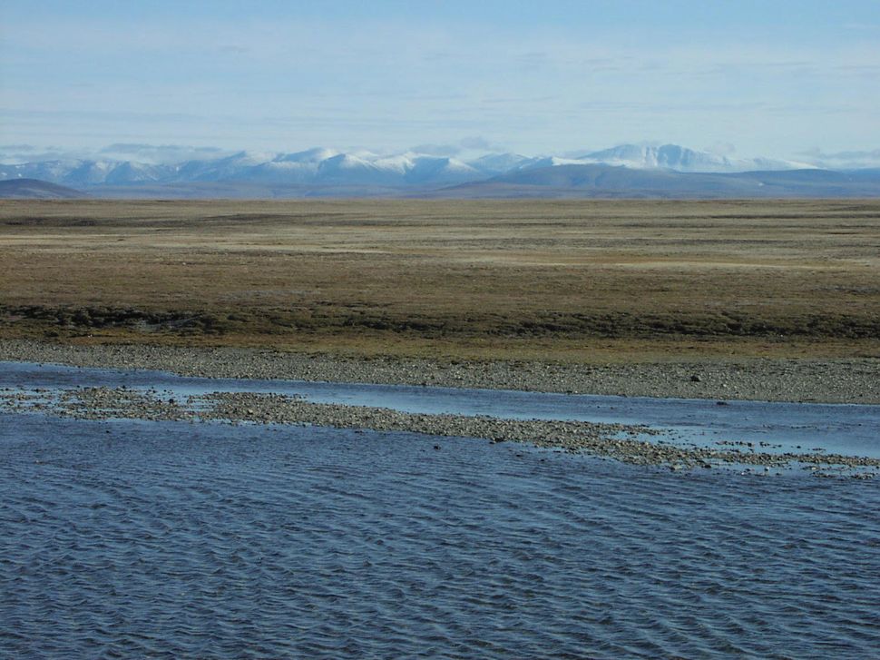 Humans Crossed The Bering Land Bridge To People The Americas Here s humans-crossed-the-bering-land-bridge-to-people-the-americas-here-s