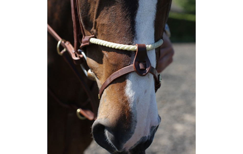 John Whitaker Rope