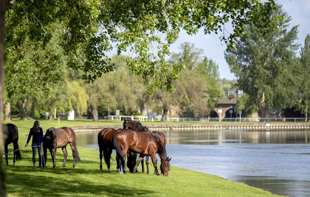 Royal Windsor Horse Show
