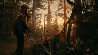 Alan Wake 2; a spooky woodland at sunset