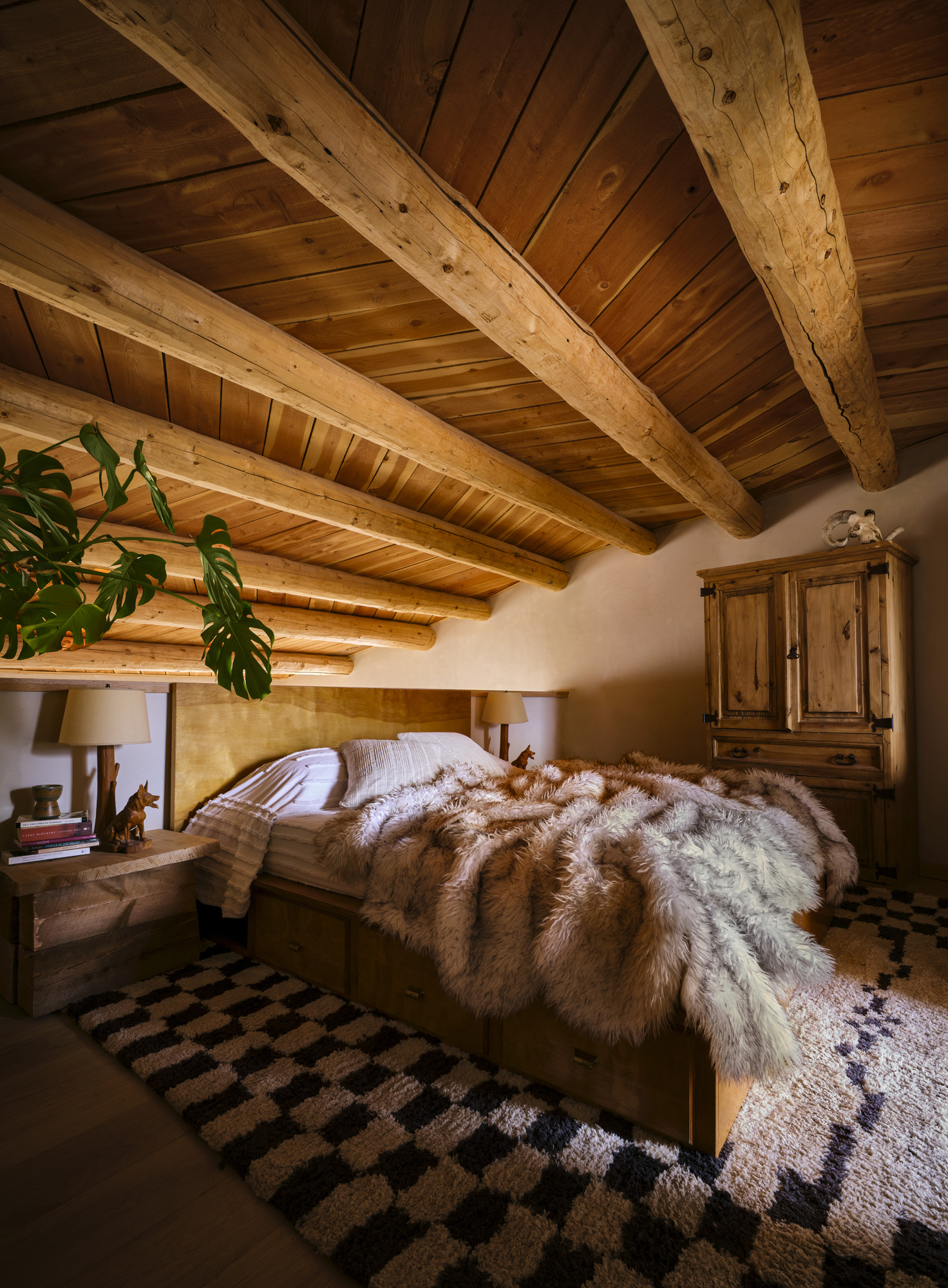 coyote house, home in the desert shaped like an animal's head