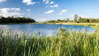 Lake near The Nest