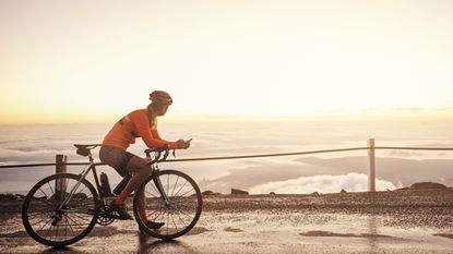 Cyclist looks at phone in front of lovely view