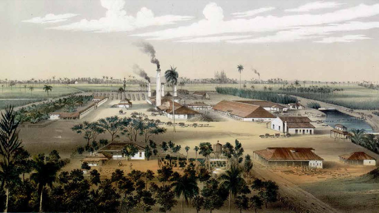 The sugar plantations on Cuba were among the worst destinations; about one out of ten among all the slaves on the island died every year.