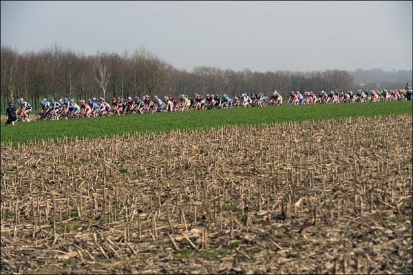 The peloton in action during E3 Prijs Vlaanderen-Harelbeke.