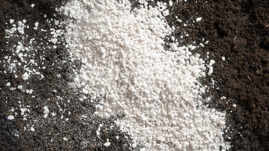 Perlite on soil