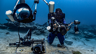 Advancements in diving and camera technology has made mesophotic reefs more accessible to researchers.