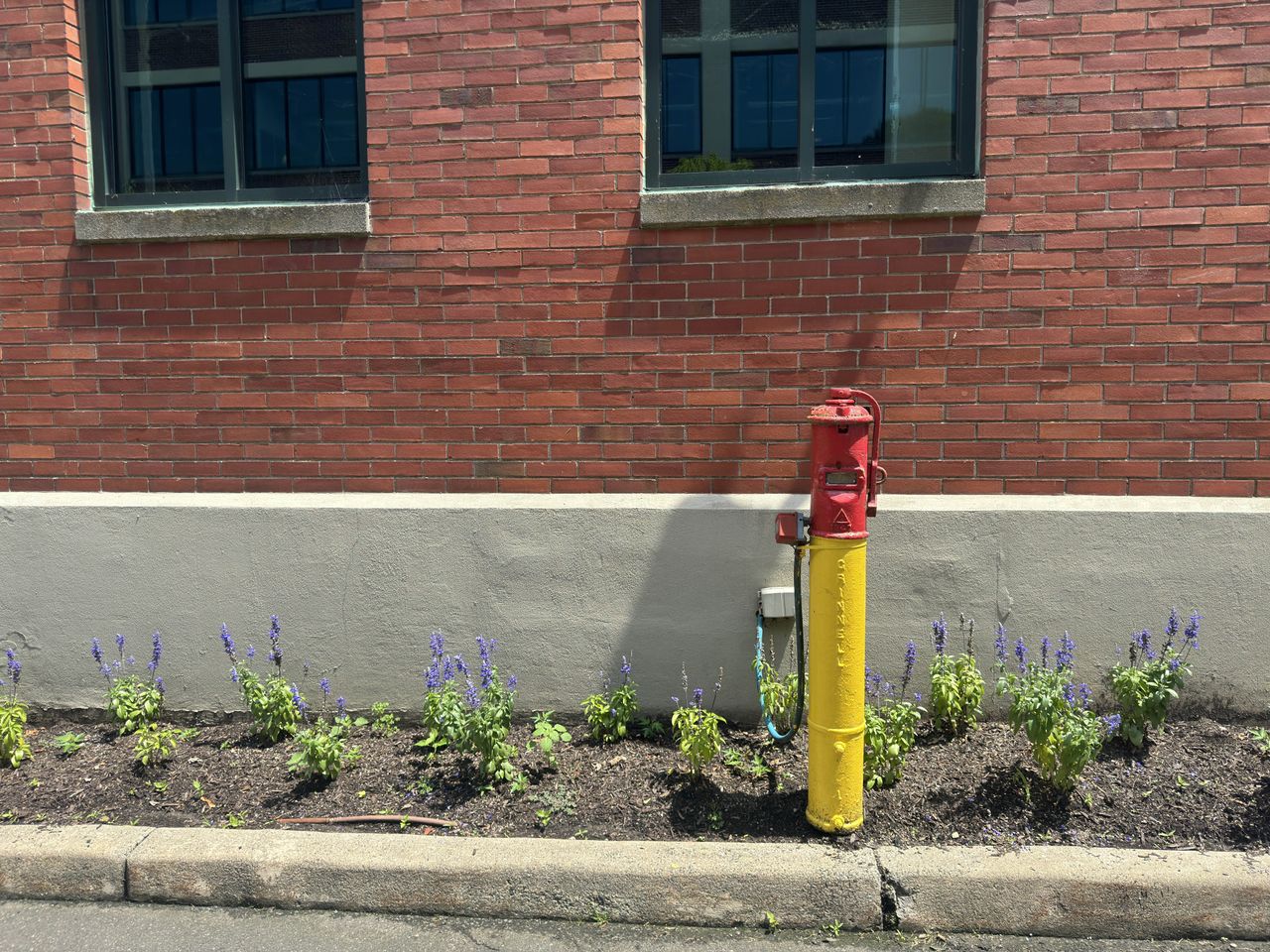 Motorola Razr Plus 2024 camera image samples