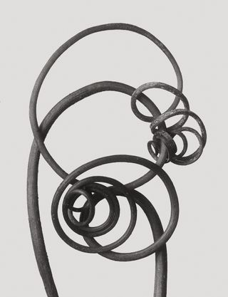 Plant portrait by Karl Blossfeldt.