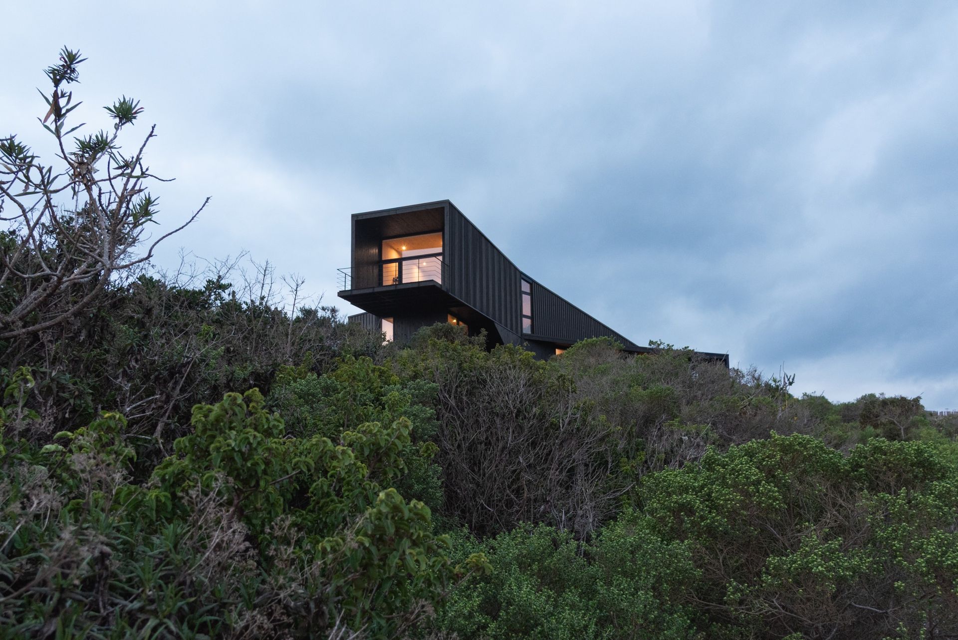 A snake nodding to the horizon makes for an unlikely inspiration for this Chilean house