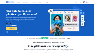Bluehost Home Page