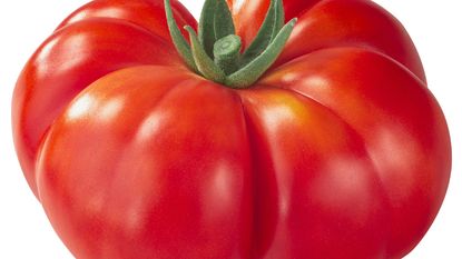 Reisetomate heirloom ribbed tomato close up 