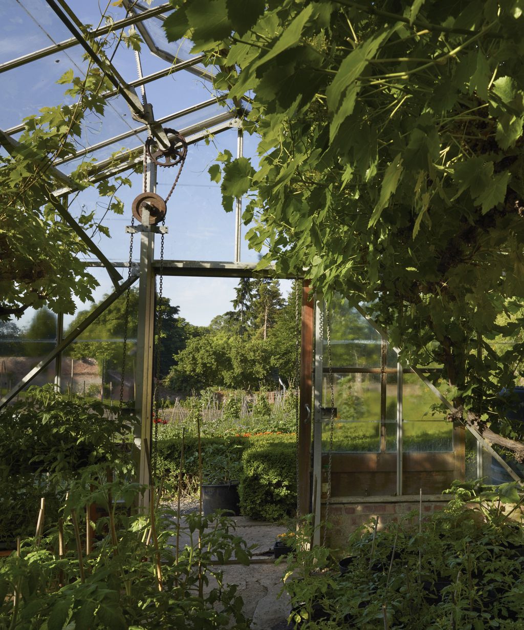 Monty Don's greenhouse tips will help you design your garden Homes