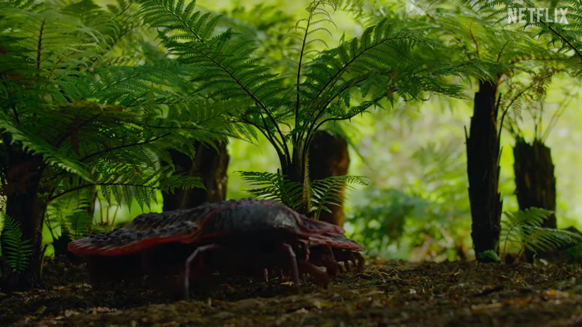 Reconstruction of ancient giant millipede from Netflix's "Life on Our Planet."