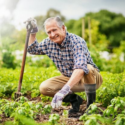 A smiling older man in a garden