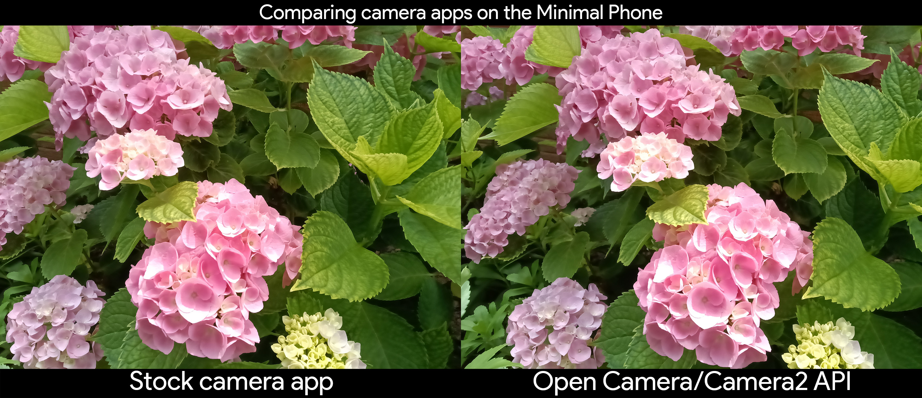 Comparing the stock camera app to the Open Camera app with camera2 API on the Minimal Phone